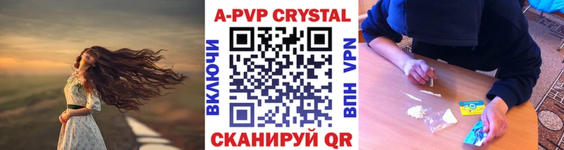 Альфа ПВП СК КРИС  Балей 