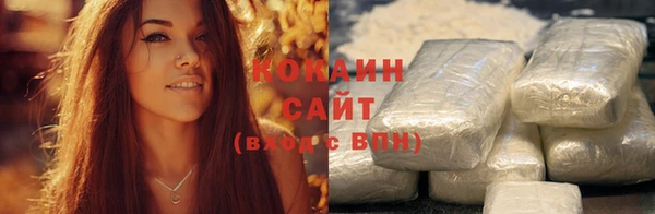 индика Балабаново