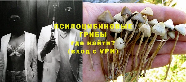 индика Балабаново