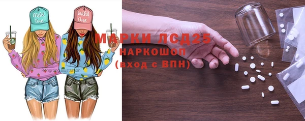 индика Балабаново