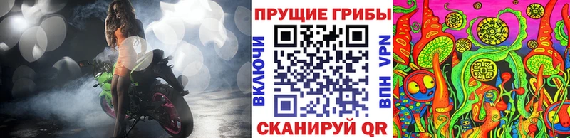 hydra онион Балей Псилоцибиновые грибы Psilocybe