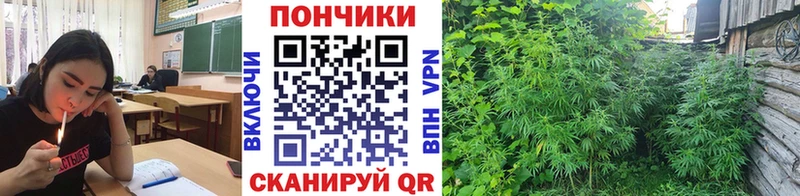 блэк спрут ТОР  Балей  shop Telegram  Марихуана планчик 